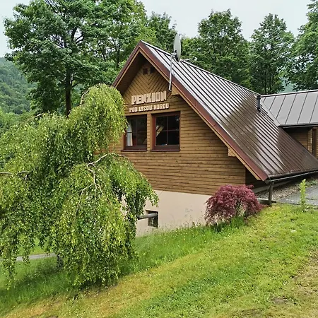Pod Lysou Horou 公寓 Malenovice (Moravia-Silesia)